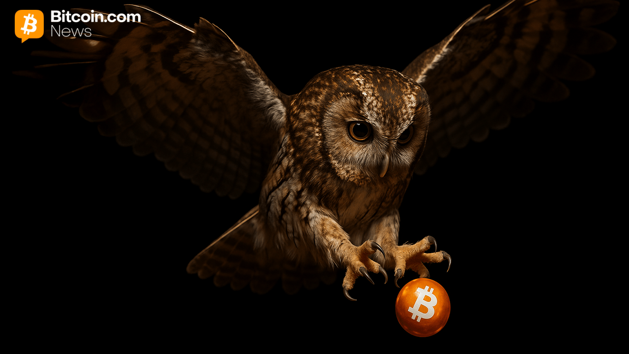 ‘Bitcoin After Dark’ ETF Lands at SEC as Nicholas Wealth Unveils Night-Only Strategy