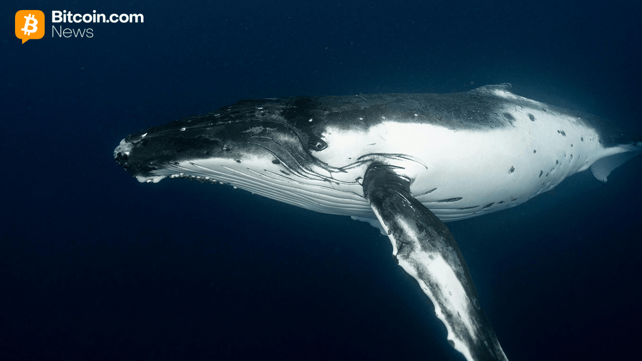 Early Bitcoin Holder Wraps up $1.3B Selloff With Fresh $230M Kraken Move