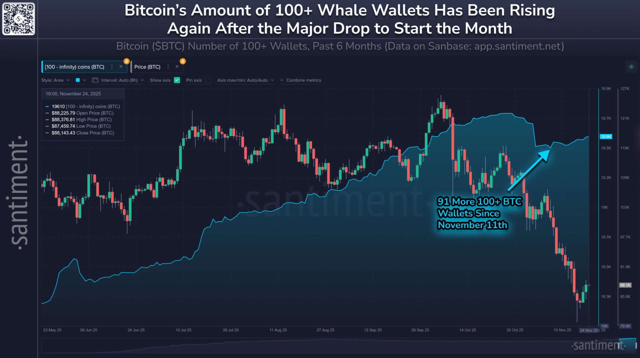 Bitcoin oggi: i piccoli investitori rallentano, mentre le whale avanzano
