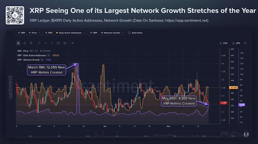 Market Analyst Accuses XRP Of Being The Biggest Crypto Scam, What’s Going On?