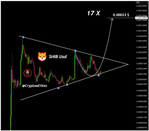 Shiba Inu Price Poised For Massive 17X Explosion As SHIB Hits Prime Buy Zone