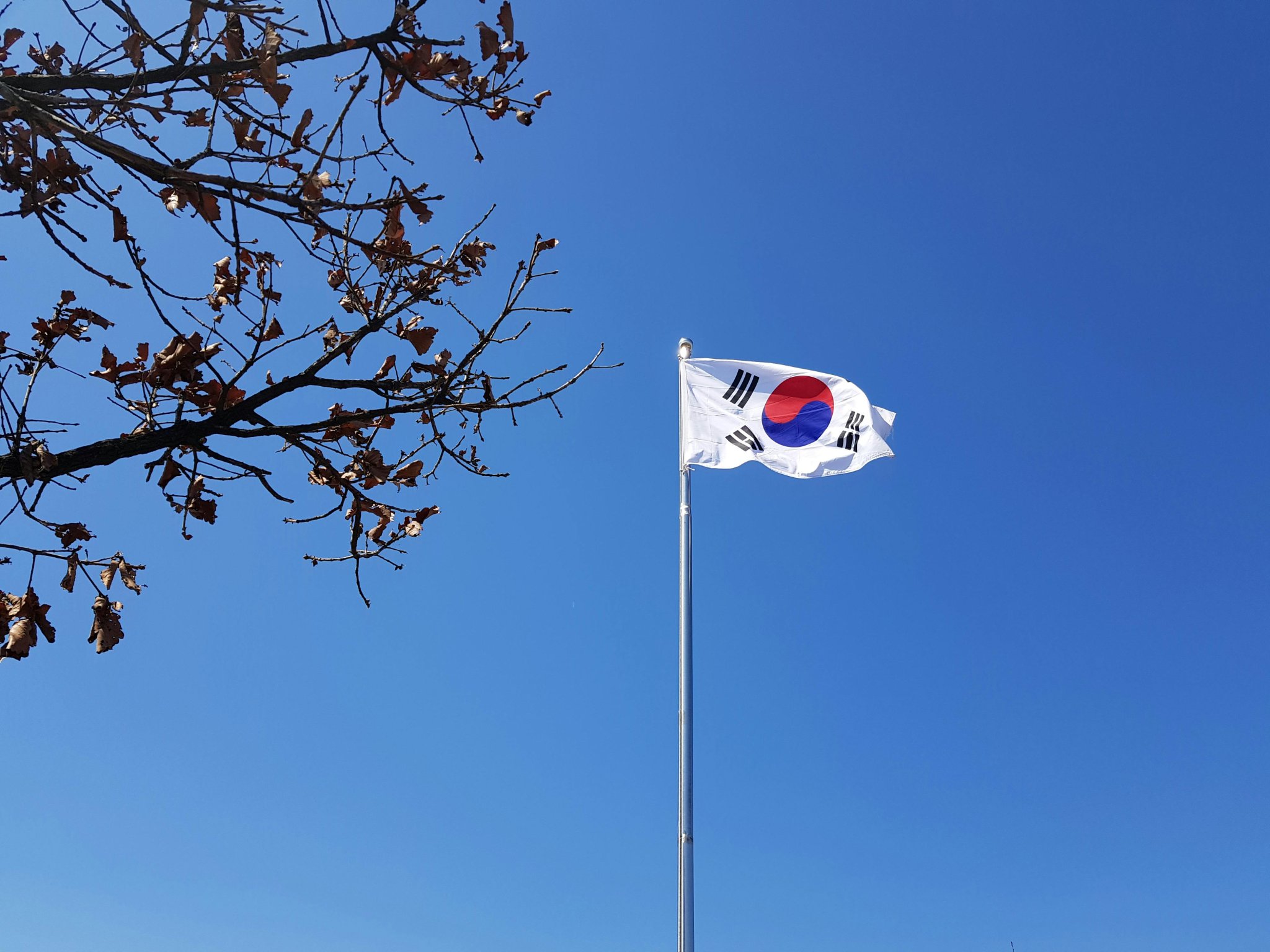 South Korea Builds AI Tax Tracker While Moving To Drop Crypto Tax