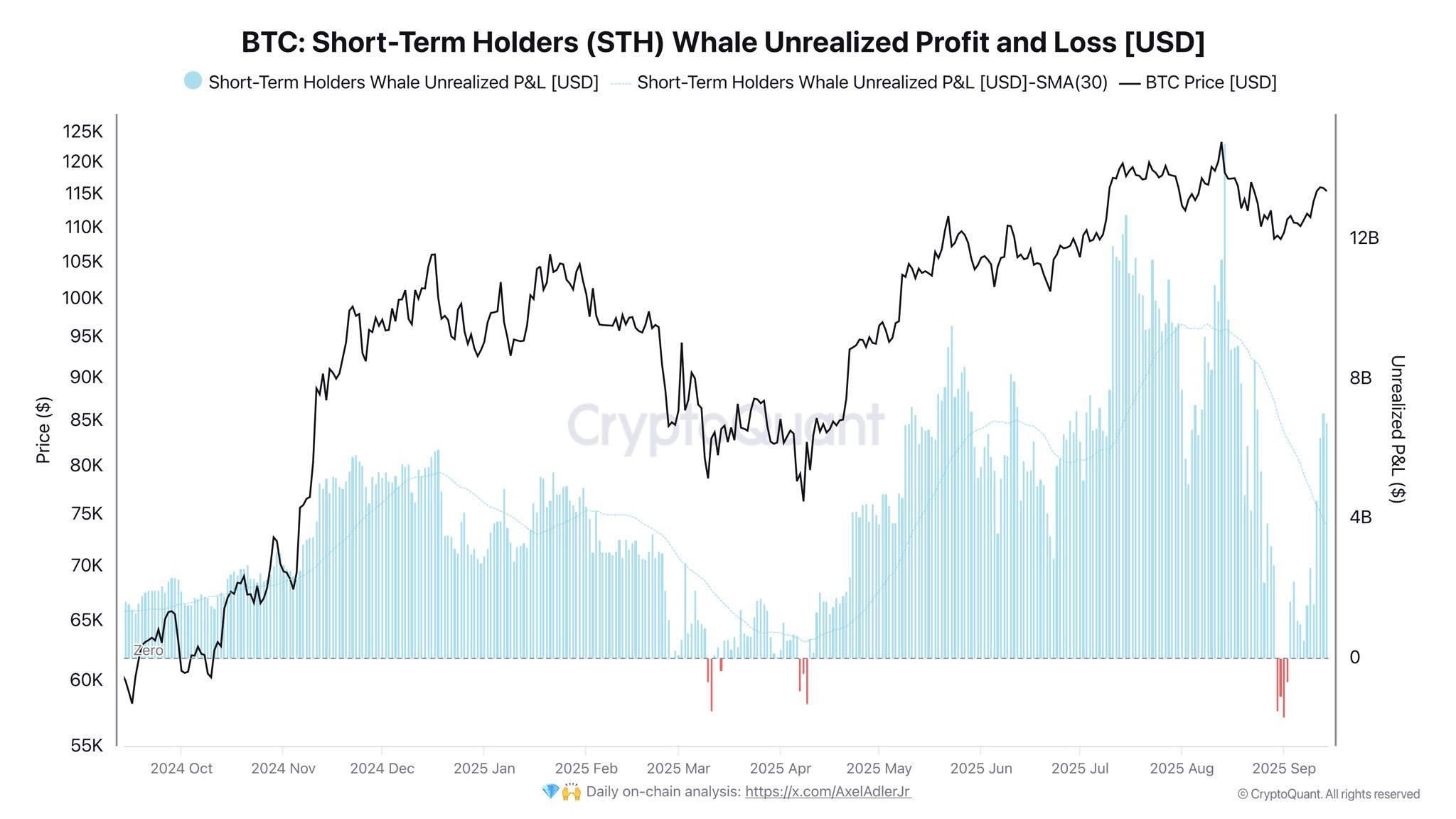 Bitcoin’s Price Recovery Revives Profit Margins For Short-Term Whales, Rally To Extend?