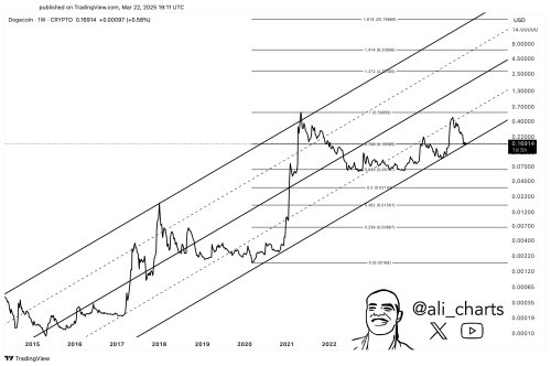Dogecoin Price Rebound To $14: Why A Rally Hinges On This Support Level