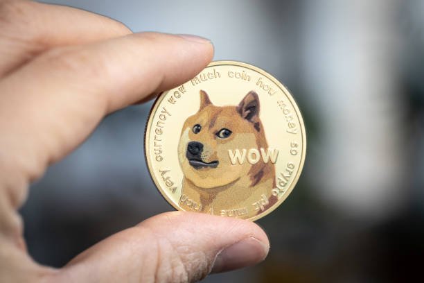 Top Dogecoin Influencer Issues Critical Warning: If You Hold DOGE, You Should See This