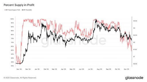 XRP Investors Holdings Have Hit Worst Losses In 1 Year, Here Are The Stats