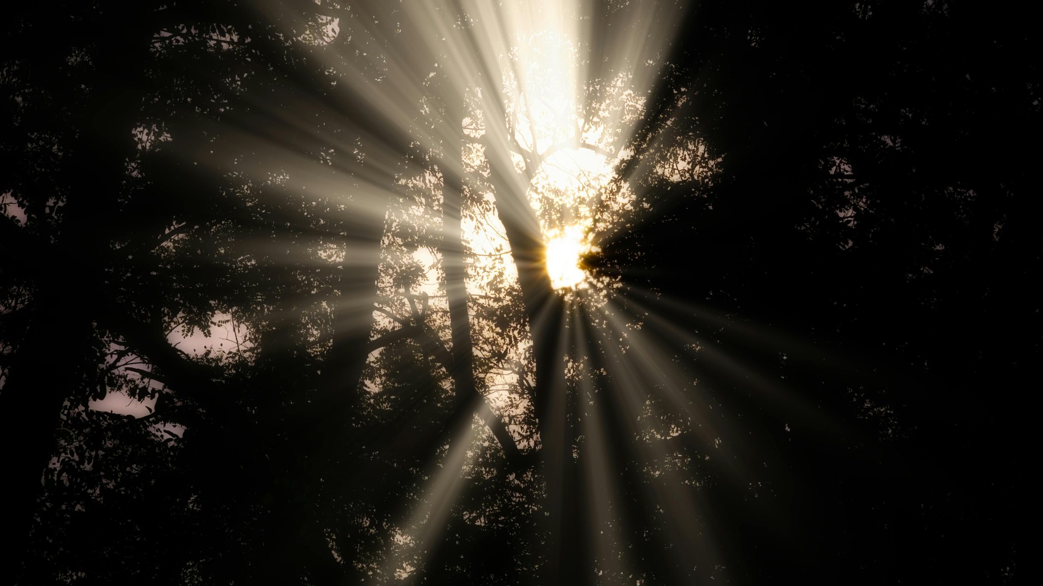 $48 Million Salvation: ‘Bitcoin Jesus’ Roger Ver Settles Tax Fraud Case