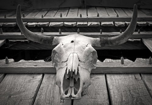 Crypto Concern: Former SEC Official Sounds The Death Knell For NFTs And Digital Assets