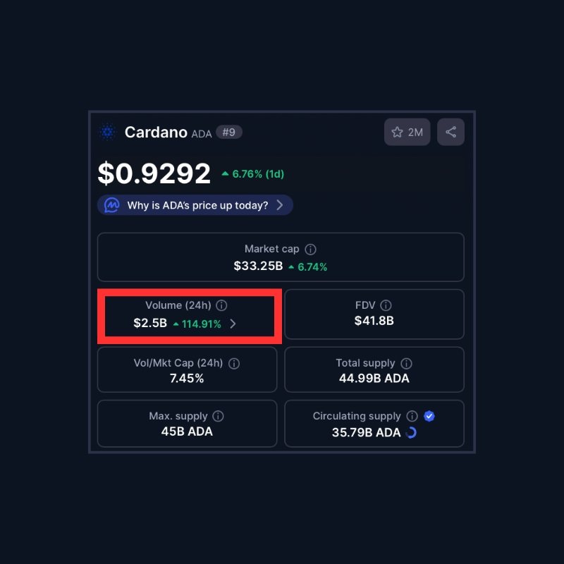 Cardano Bullish Bets: Daily Trading Volume Explodes With ETF Listing Buzz – What To Know