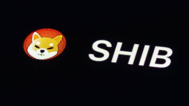 Shiba Inu Engineer Leaves Community Stunned With Sharp Exit