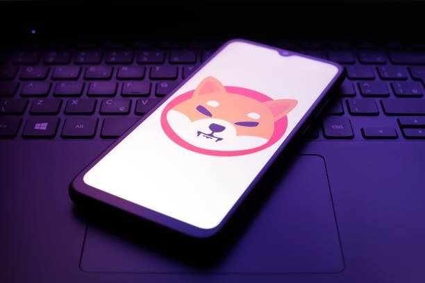Shiba Inu Holders Warned Against This Critical Scam That Could Cost Them Money