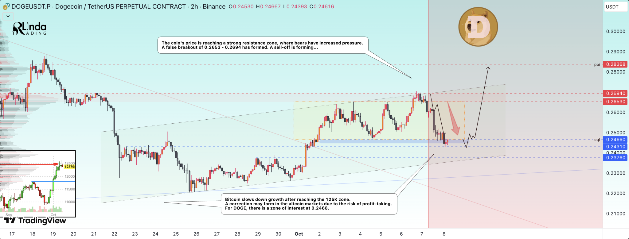 Pundit Who Predicted The Dogecoin Price Correction From $0.27 Shows Where It’s Headed Next