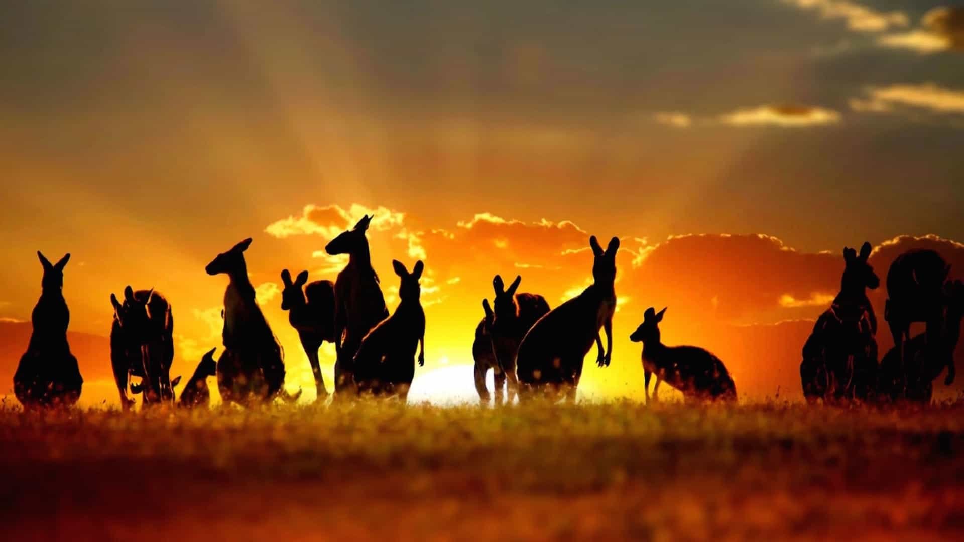 Australia Cracks The Whip: Crypto Exchanges Face Tough New Rules