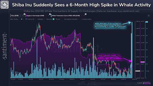 Shibarium Stages Comeback With Latest Development, Shiba Inu Whales Return – Details