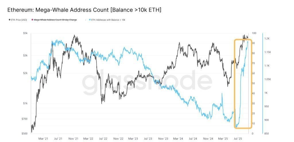Ethereum Accumulation Surge: Whale Wallets Stack ETH At Fastest Rate In Years – What’s Going On?