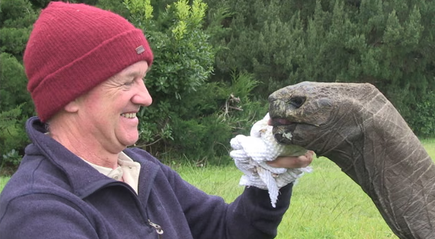 X Eyes Auto-Lock For Crypto Mentions After Tortoise Death Hoax