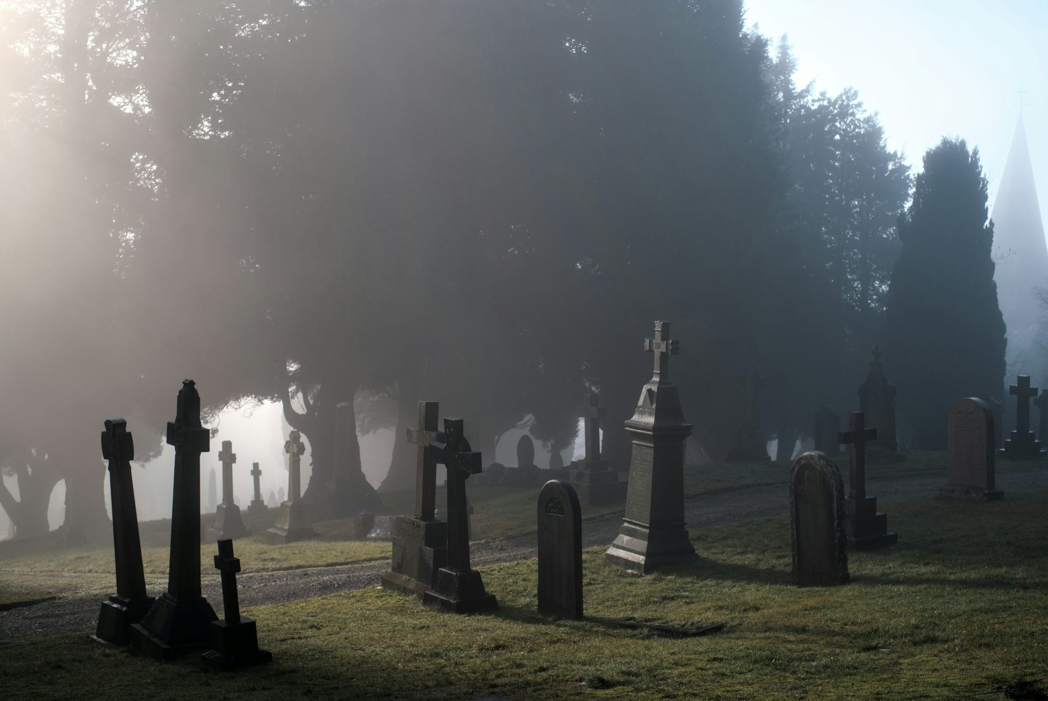 Altcoin Carnage Ahead? 99% Could Be Wiped Out, Analyst Says