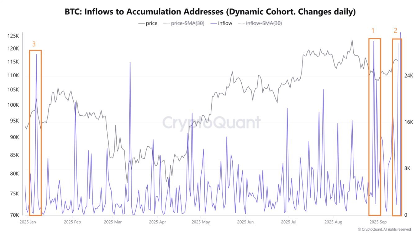 Bitcoin Accumulation Addresses Hit Record Inflows Before Fed Interest Rate Verdict, Another Major Rally Brewing?