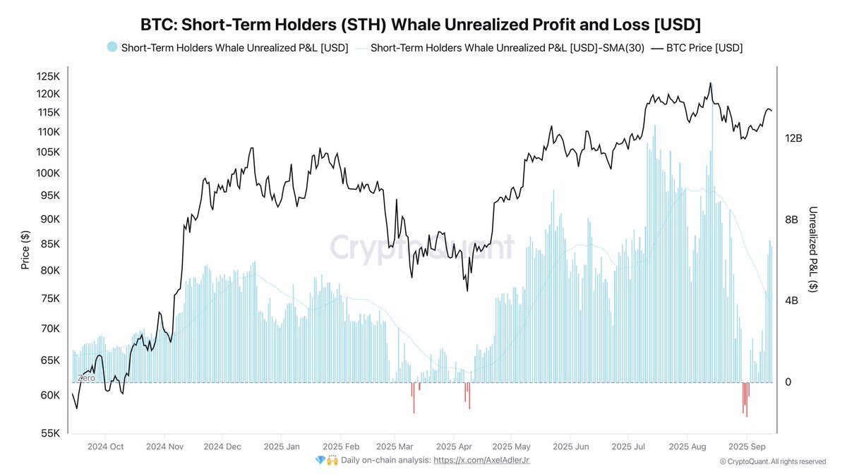 Bitcoin STH Whales Recover: Unrealized Profits Return