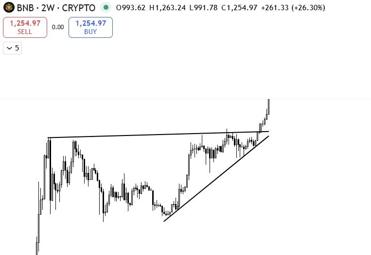 BNB Price Prediction: Gemini Analysis and Recommendation of Best Crypto to Buy Now