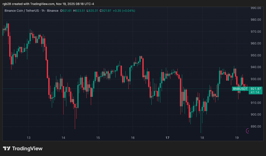 Institutional Interest Holds As Major Players Drive BNB Chain’s RWA Momentum