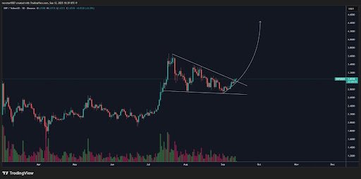 If You Hold XRP, Analyst Says To Strap In; Here’s Why