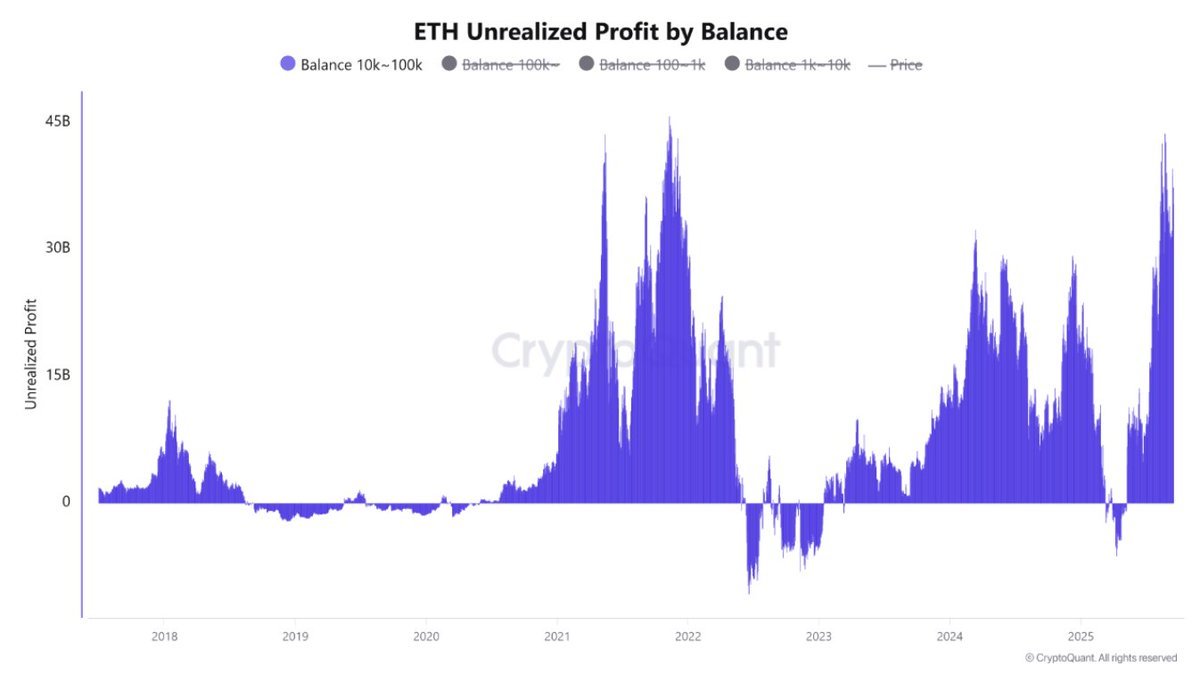 Ethereum Mid-Sized Whales See Peak Unrealized Gains: Profit-Taking Risk Rises
