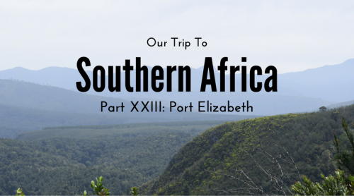 Port Elizabeth, South Africa - Southern Africa: Part XXIII