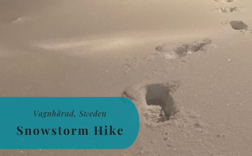 Vagnhärad, Sweden – A Hike Home in the Snowstorm