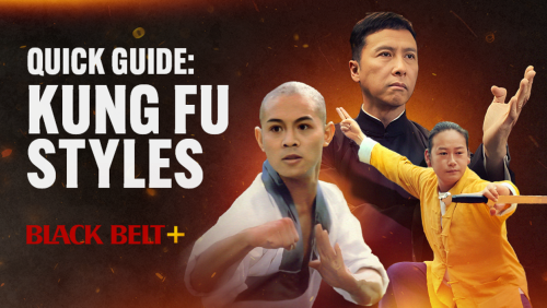 Kung Fu Styles Quick Guide | Flipboard