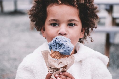 5 Diabetic-Friendly Glycerin Ice Cream Maker Recipes - Blavity