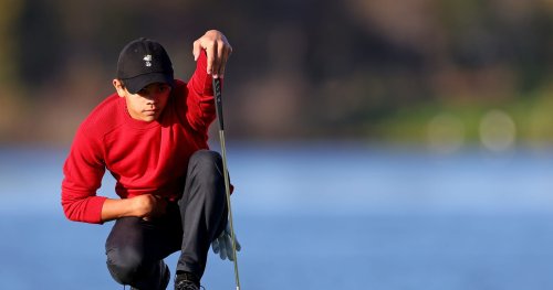 Tiger Woods' Son Charlie Wins Junior Golf Tournament by 8 Strokes