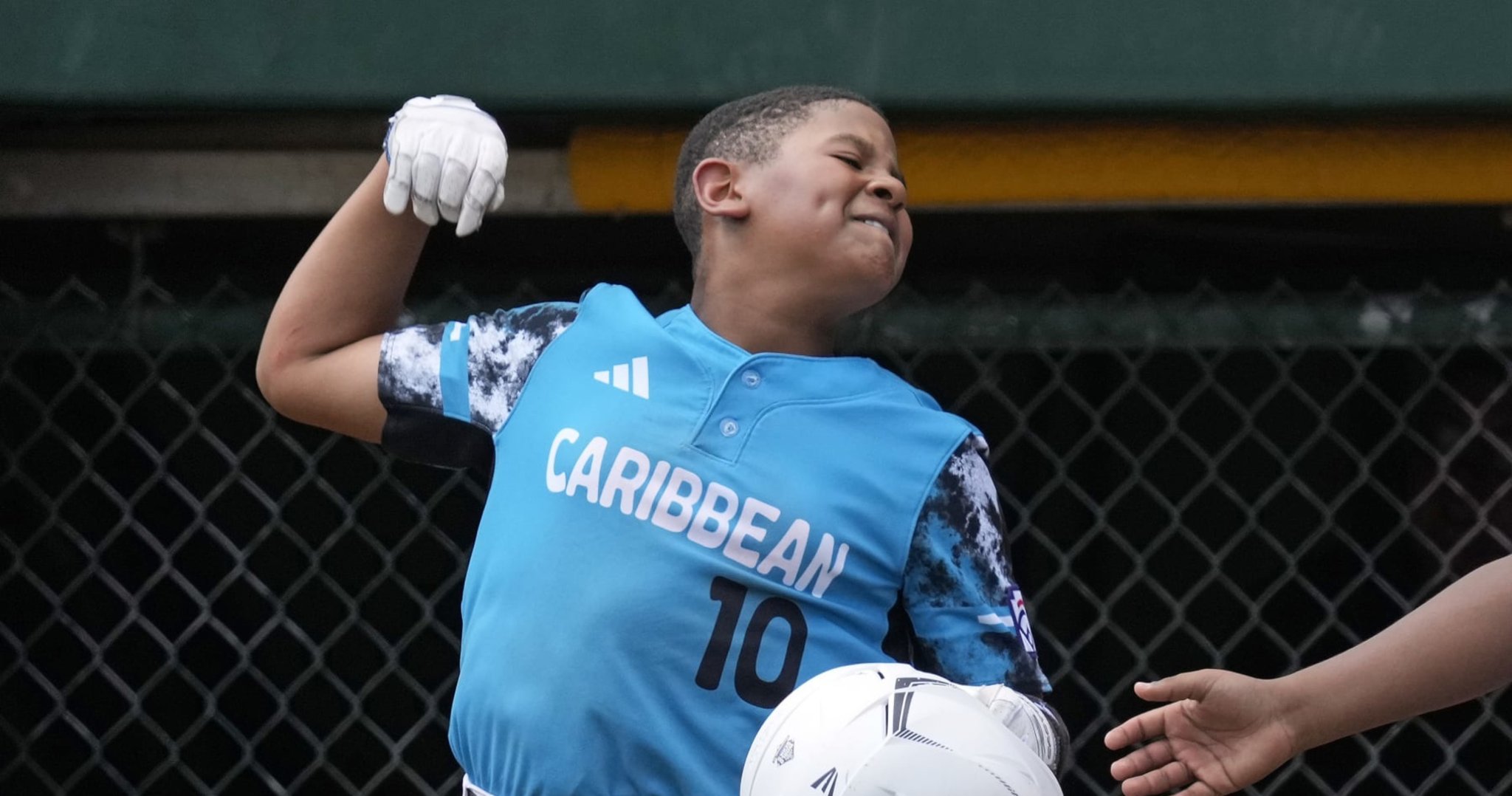 Lancaster County Challenger team ready to take Little League World Series  stage, Baseball