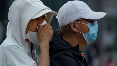 Transmission de l'animal à l'homme: Taïwan annonce l'apparition d'un nouveau virus en Chine