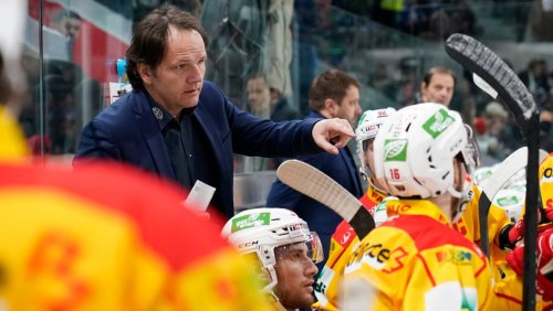 Interview zum Trainer-Knall mit Biel-Sportchef Steinegger: «Ich schäme mich nicht für die Matikainen-Verpflichtung»