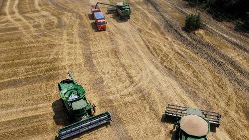 Gratis-Getreide für Afrika: Russland will nach Rekordernte Millionen Tonnen exportieren