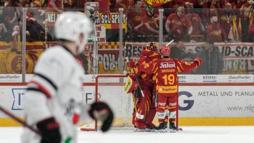 Tigers haben Lunte gerochen: Elchtest für Lausanne: Erlösung oder kolossale Pleite