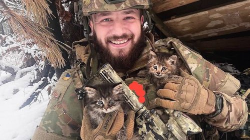 Pas qu'à l'assaut des souris: Des chats combatttent aux côtés des soldats ukrainiens
