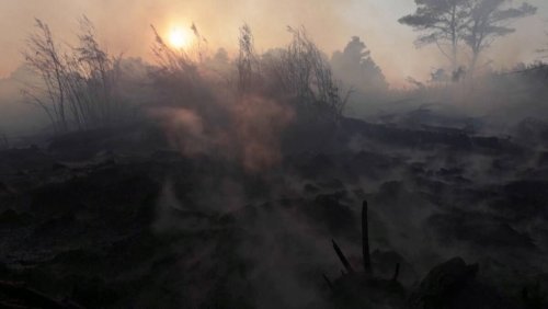 Rettungskräfte kämpfen gegen Flammen: Waldbrand wütet in Albanien