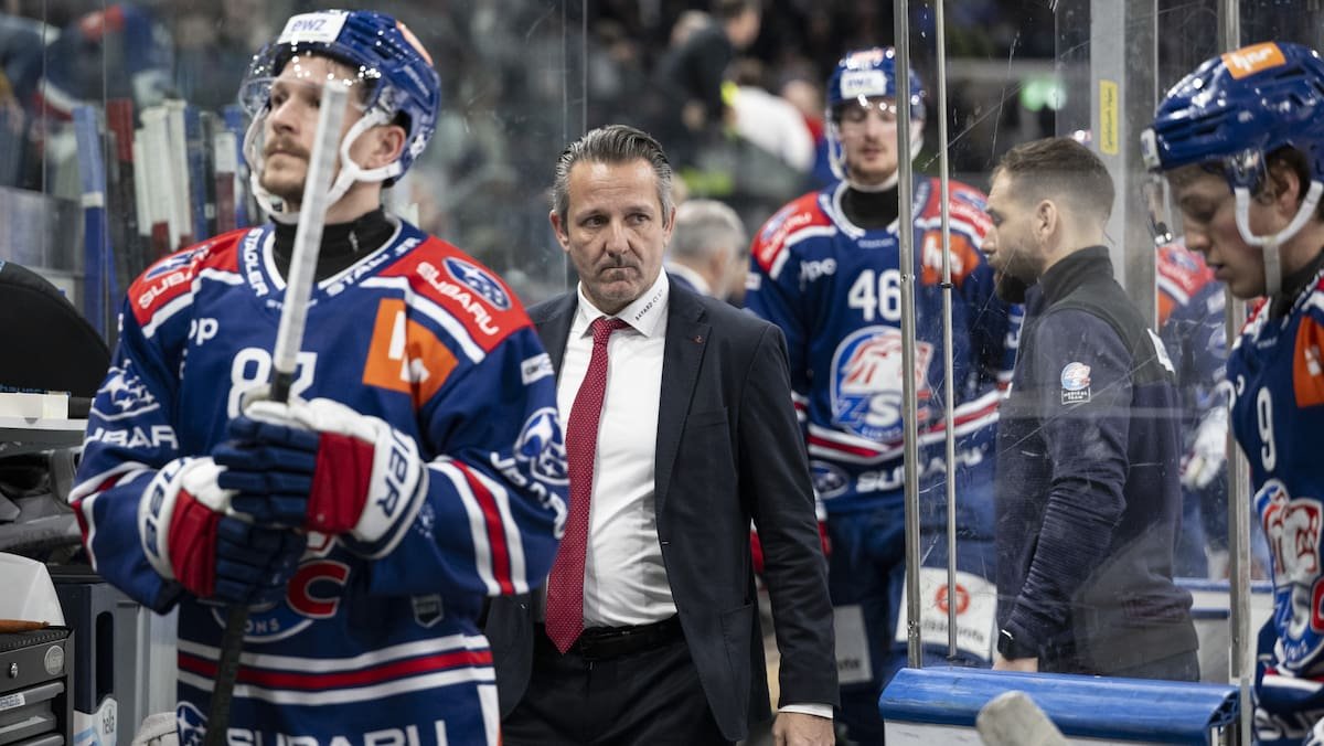 Langjährige Weggefährten erklären ZSC-Trainer Marco Bayer: «Er hatte Mühe, den richtigen Job zu finden»