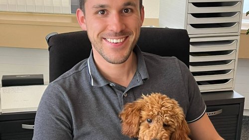 Solothurner entscheiden über «hundsgemeine Hundesteuer»