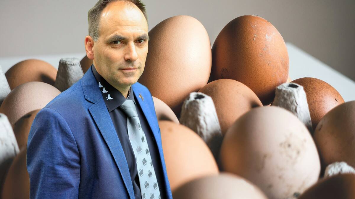 Knappheit wird immer grösser – Präsident von Eier-Verband lehnt Anfrage ab: Amis verzweifelt auf Eier-Suche – Schweizer sagen Nein!