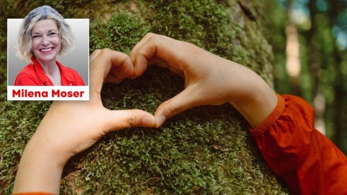 Milena Moser und die Liebe jenseits der Checkliste: Denn das ist das Komische an der Liebe