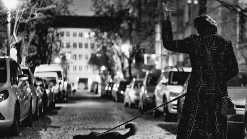 Tod von Rosenstolz Sängerin: AnNa R.s (†55) geliebter Hund wich ihr nicht von der Seite