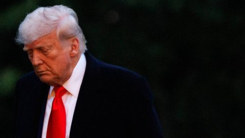 Elefant gegen Elfenbeinturm: Trump trampelt die Studis nieder – aus drei Gründen