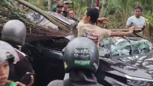 Auf Ferieninsel Bali: Palme kracht auf Auto von Schweizerin – am Kopf verletzt