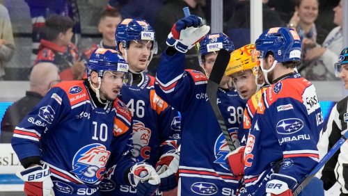 Einer müsste eigentlich beim SCB sein: Der ZSC hat vier Meister-Pfeiler aus der NHL