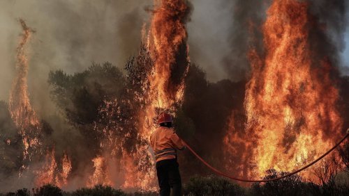 Extreme Waldbrände auf dem Vormarsch: «Europa muss lernen, mit den Feuern zu leben»