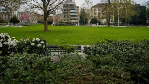 Schweizer (54) schwer verletzt im Zürcher Park gefunden