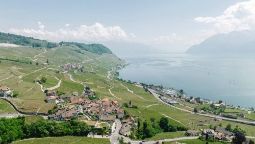 250 Keller, 1 Ticket und ganz viel Offenheit: Wenn der Chasselas plötzlich tanzt